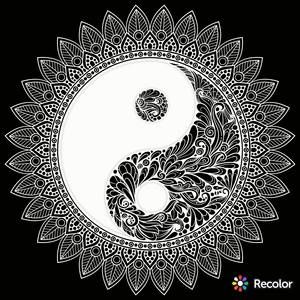 Meet your Posher, Cailin